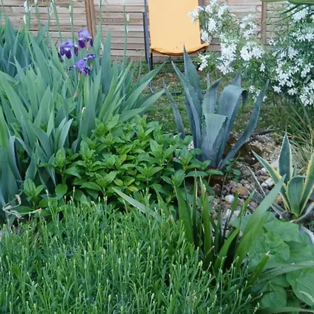 Bed & Breakfast Chez Bea 3*