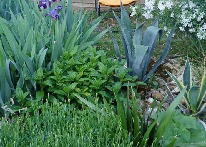 Bed and breakfast Chez Bea 3*